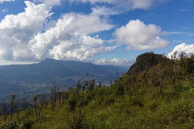 Scenic view of landscape against sky