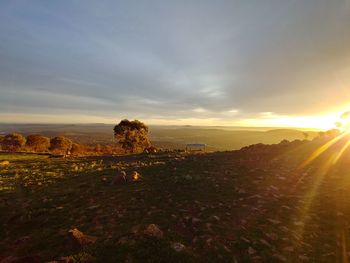 Scenic view of field against sky during sunset