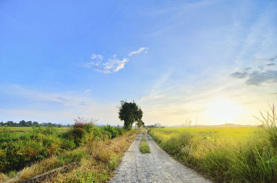 Dirt road amidst field against sky