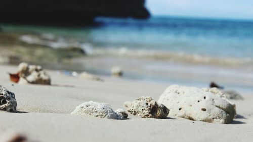 Close-up of rocks on beach