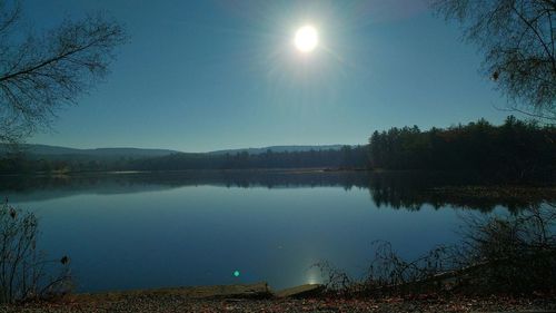 Reflection of trees in calm lake