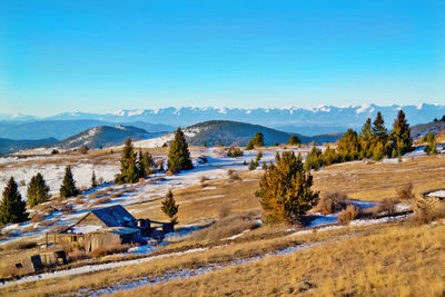 Scenic view of field against clear blue sky