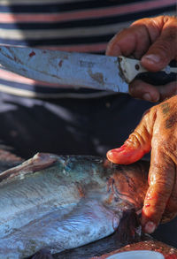 Close-up of person hand holding fish