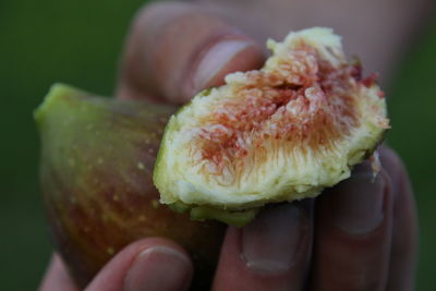 Close-up of person holding ice cream