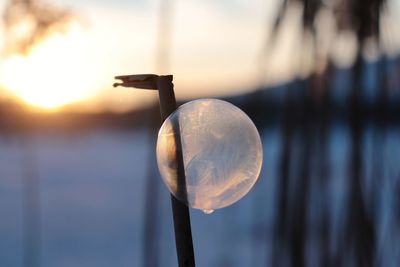 Close-up of metal hanging against sky at sunset