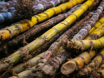 Full frame shot of bamboo