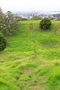 Scenic view of green landscape against sky