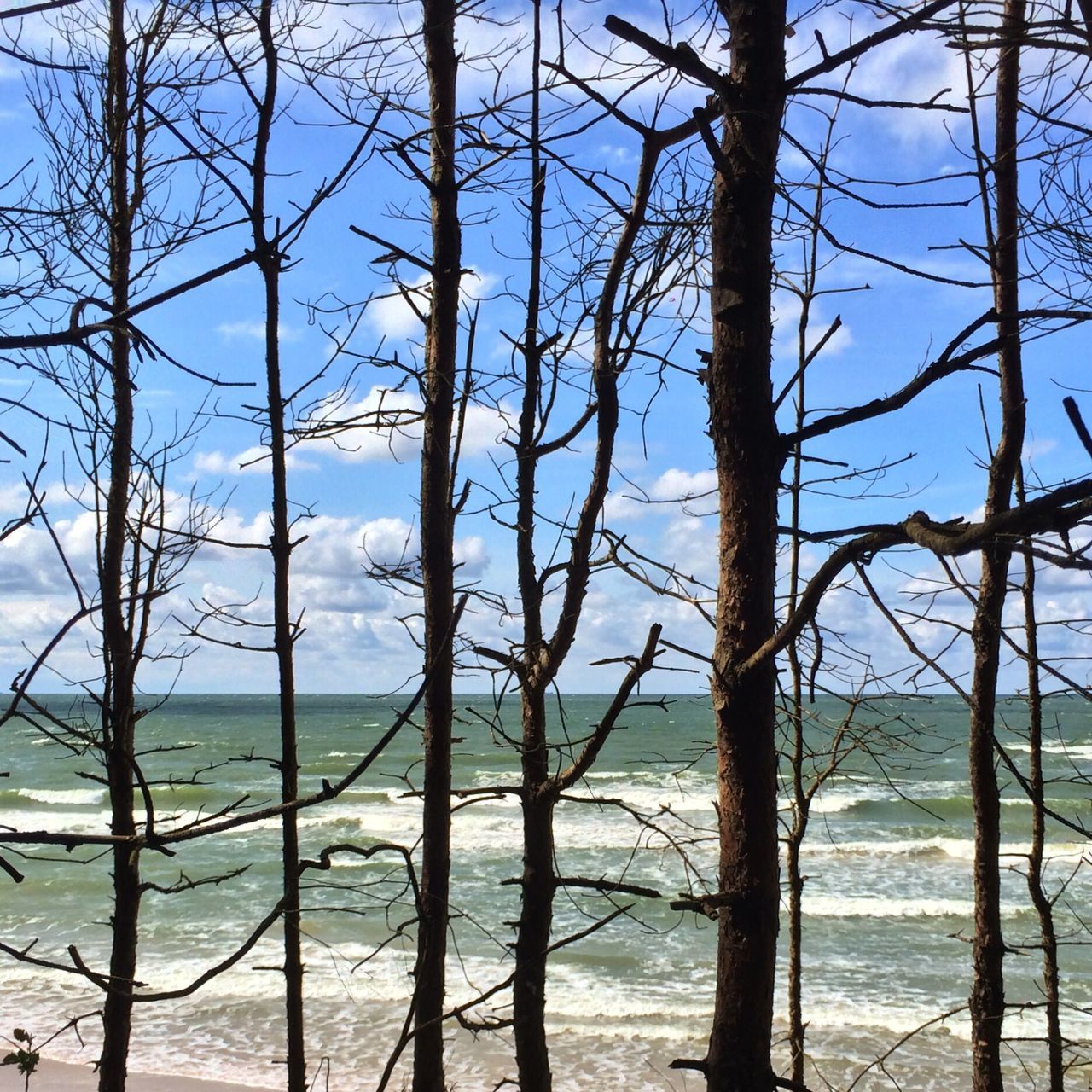 bare tree, branch, tranquility, sky, tranquil scene, water, sea, scenics, nature, beauty in nature, tree, tree trunk, mountain, day, no people, landscape, outdoors, non-urban scene, idyllic, horizon over water