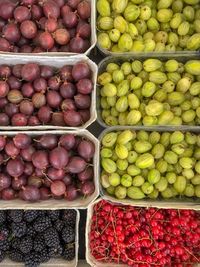 High angle view of fruits for sale at market stall