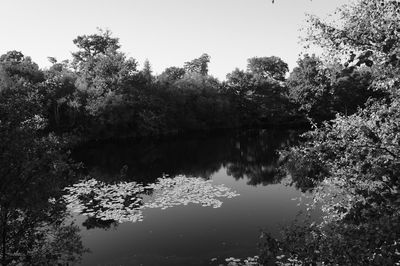 Reflection of trees in lake against sky
