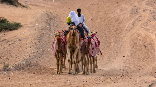 Panoramic view of people riding motorcycle on land