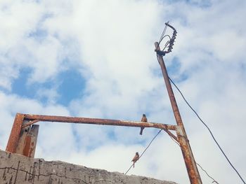 Low angle view of man on wood against sky