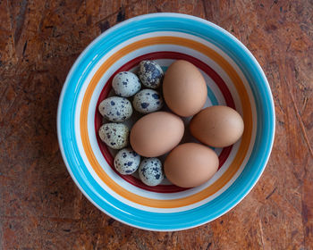 High angle view of eggs in container