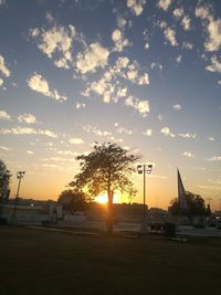 Silhouette of trees against sky during sunset