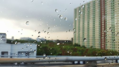 Close-up of water drops on glass