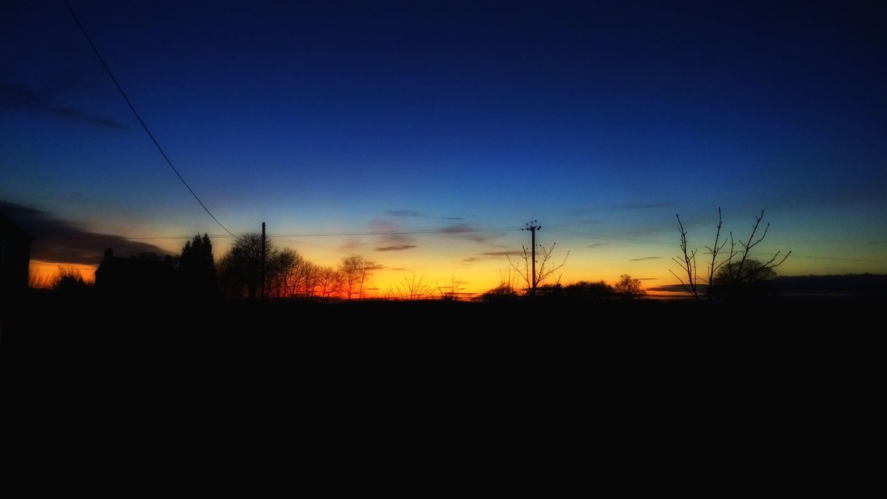 SILHOUETTE OF TREES AGAINST SKY