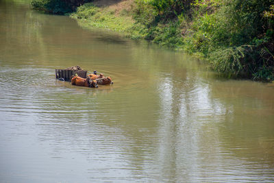 Boat in a lake