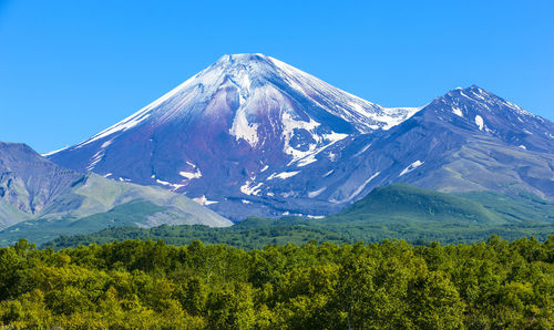 Avachinsky volcano in kamchatka in the autumn with a snow-covered top