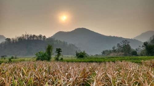 Scenic view of field against mountains at sunset