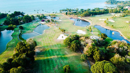 High angle view of trees and sea