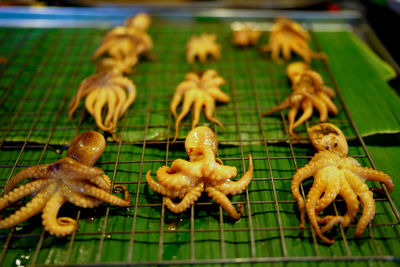 High angle view of octopus on metal grate