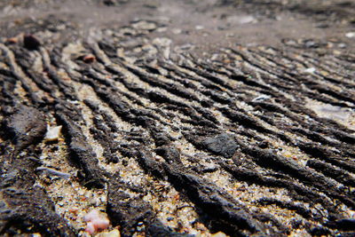 Full frame shot of cracked land