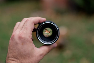 Cropped hand holding lens