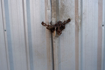 Close-up of rusty metal on wall