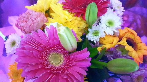 Close-up of multi colored flower bouquet