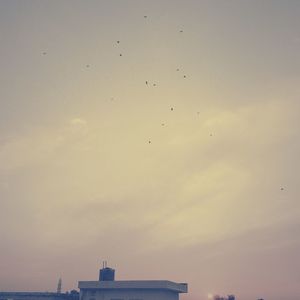 Low angle view of birds flying in sky