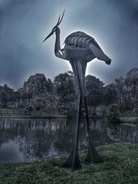 Bird on water against sky