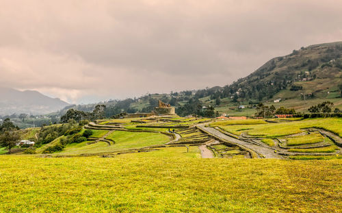Scenic view of agricultural field against sky