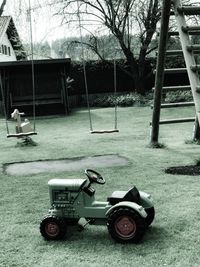 Vintage car on tree