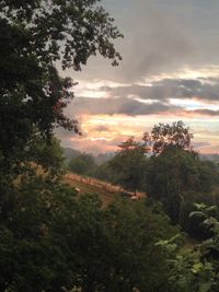 Scenic view of landscape against cloudy sky