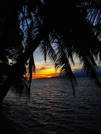 Silhouette tree by sea against sky during sunset