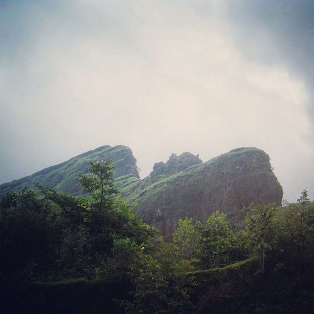 mountain, tranquility, tranquil scene, scenics, sky, beauty in nature, nature, low angle view, mountain range, rock formation, landscape, non-urban scene, tree, rock - object, idyllic, cloud - sky, rocky mountains, geology, physical geography, day