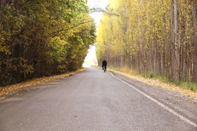 Rear view of person walking on road amidst trees