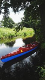 Scenic view of river by trees