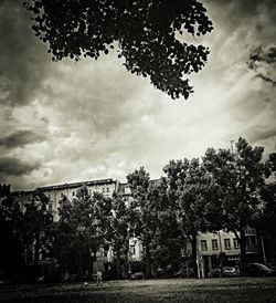 Trees against cloudy sky