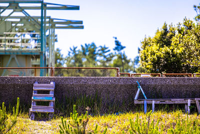 Plants growing on field against clear sky