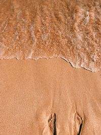 High angle view of footprints at beach