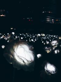 Close-up of lit lights