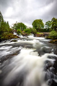 Surface level of river flowing amidst trees against sky