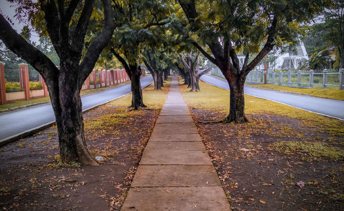 Footpath amidst trees in park