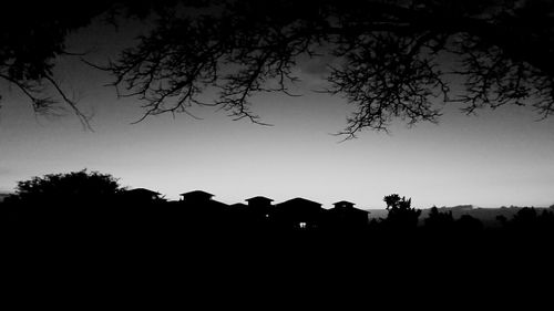 Silhouette trees on landscape