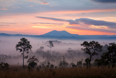 Scenic view of landscape against sky during sunset