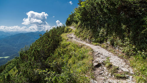 High angle view of trail on green mountain