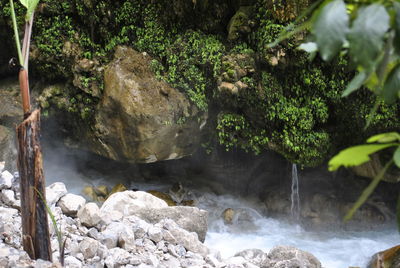 Scenic view of waterfall in forest