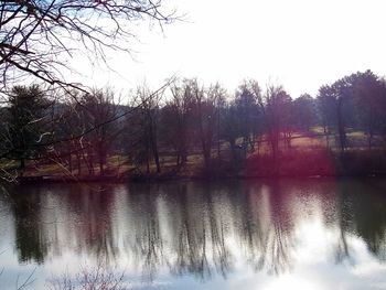 Reflection of trees in lake against sky