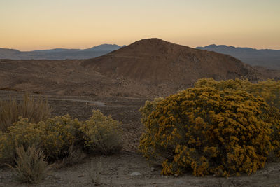 Scenic view of landscape against sky during sunset